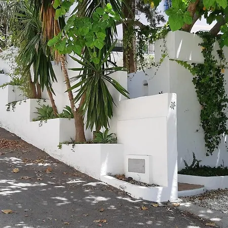 Tortuga Marbella