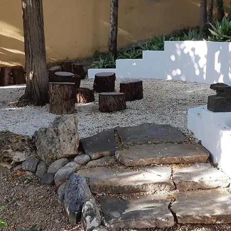 Tortuga * Marbella